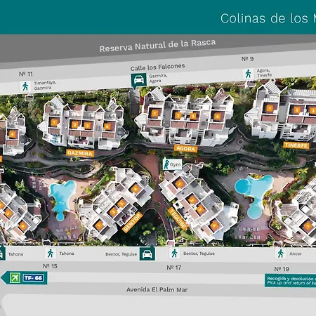 Colinas Palm-mar